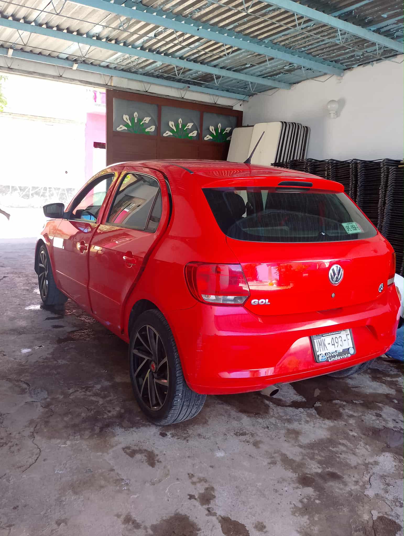 Lavado de auto profesional